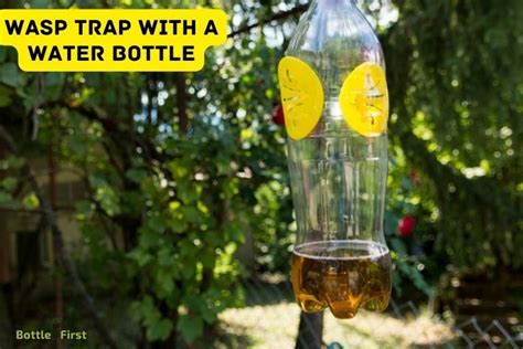 How To Make A Wasp Trap With A Water Bottle 10 Easy Steps