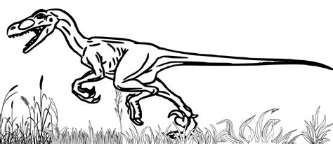 27 Desenhos Do Velociraptor Para Imprimir E Colorirpintar Porn Sex