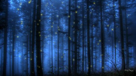 Fireflies At Night Wallpaper
