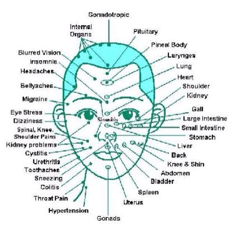 Facial Massagebreathe As You Massage Your Face This Is A Health