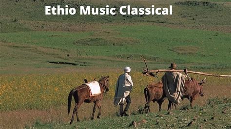 Ethiopian Classical Musics Collection Part 3 Non Stop Ethiopian
