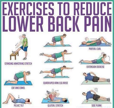 Help Lower Back Pain Musely