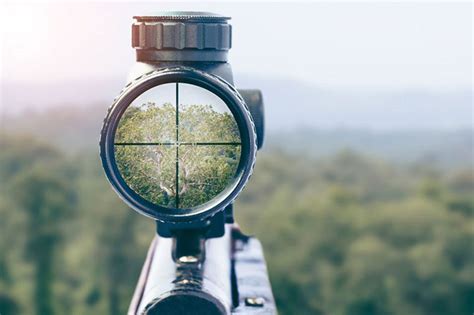 What Is Parallax On A Scope Explained For Beginners
