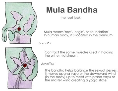 Bandhas and core strength | Cultivate Calm Yoga