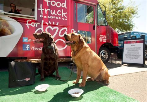 From indian delicacies and korean fusion to fresh seafood and specialty pizza, it's a diverse banquet to please every taste. Food Truck for Dogs Coming to Boston's Greenway Open ...