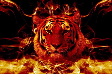 Lightning Cool Tiger Flame Tiger Hd Wallpaper Pxfuel