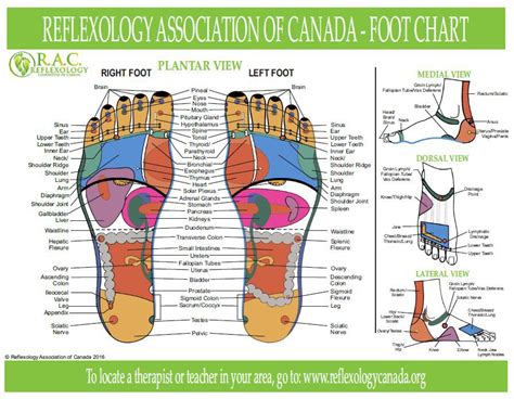 Reflexology Uses Benefits Safety And What To Expect