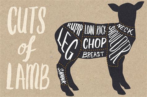Digital sheep chart decor svg. The ultimate guide to lamb cuts - Jamie Oliver | Features