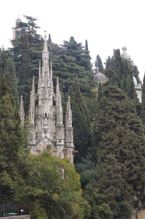 Check spelling or type a new query. Flowers and Weeds: Photos from Genoa Italy