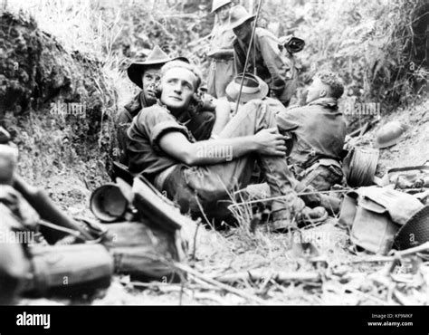 Australian Infantry Signalling Position On Labuan In June 1945 Stock