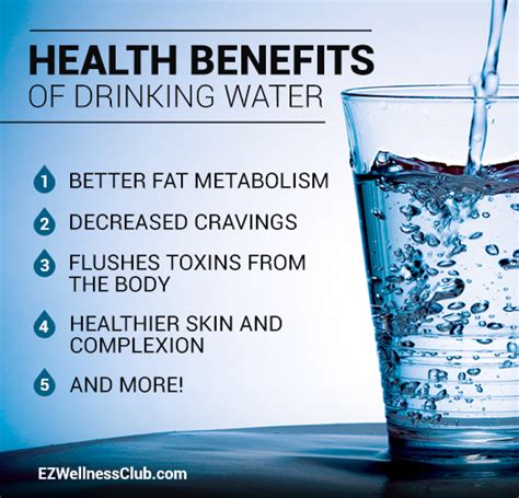 Preview Full Health Benefit Of Drinking Water
