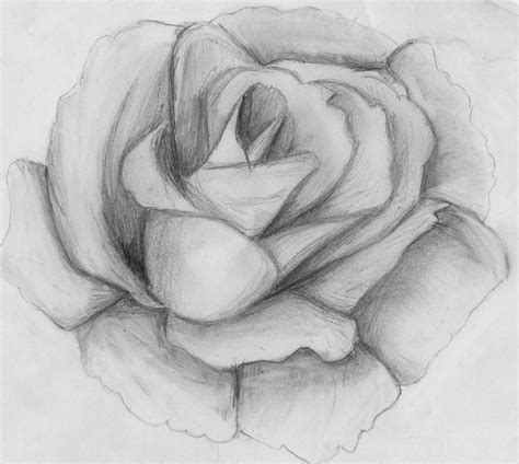 Imagenes De Rosas Para Dibujar En Lapiz Dibujos De Colorear