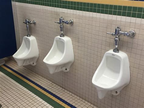 The Lack Of Urinal Dividers Pisses Off Male Students The Observer
