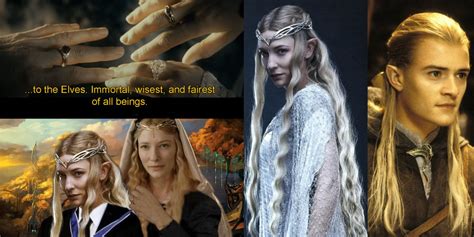 Lord Of The Rings 10 Memes That Perfectly Sum Up Elves