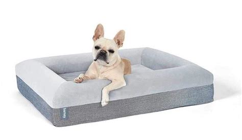 12 Best Dog Beds For All Breeds Homes To Love