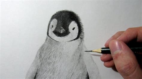Agregar más de 79 pinguino para dibujar muy caliente camera edu vn