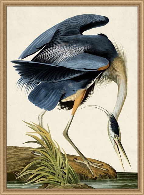 We source the art, design the art, and make the art… Oiseau 1 by Wendover Art Group - 28403 | Willis Furniture ...