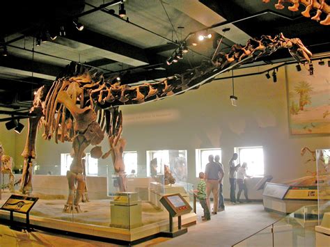 Fmnh P25112 Prehistoric Wiki Fandom