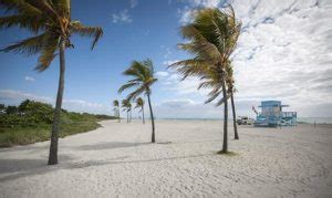 Haulover Beach Miami Best Nude Beach In Miami Amg Realty