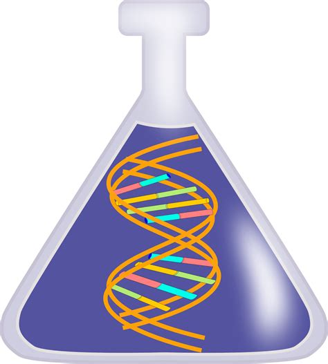 Free Dna Cliparts Download Free Dna Cliparts Png Images Free Cliparts