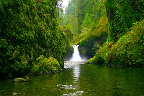 Waterfall In Green Forest