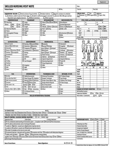 Nursing Note Example Fill Out And Sign Online Dochub
