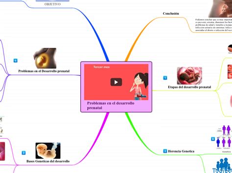 Problemas En El Desarrollo Prenatal Mind Map The Best Porn Website