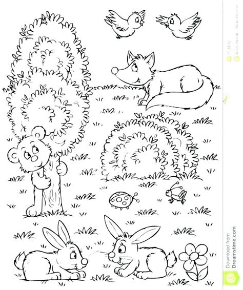 Imágenes de ranas listas para imprimir y colorear con. Woodland Animal Coloring Pages at GetColorings.com | Free ...