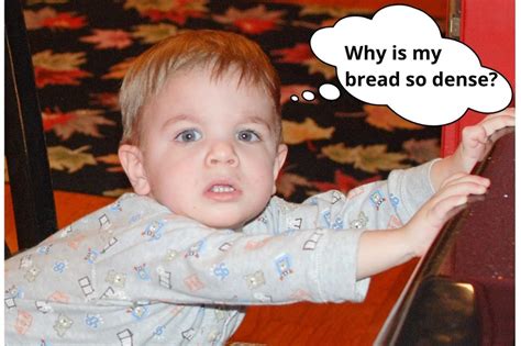 26 reasons why your bread is dense includes a bread machine section bread flour bread dough