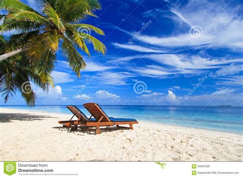 Two Chairs On The Tropical Beach Stock Photo Image Of