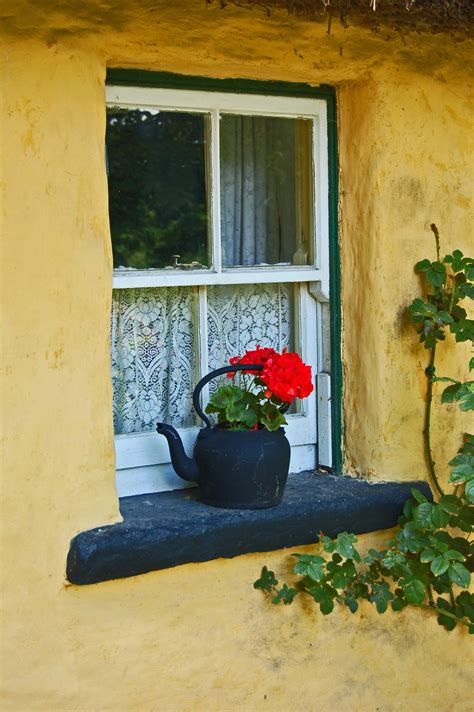 Individuals consuming the flowers, plants, or derivatives listed here do so entirely at their own risk. Flower Pot in Window, Ireland. | Windows and doors, Window ...