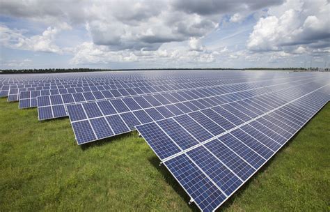 Florida Power And Light And Audubon Florida Launch Solar Sanctuary