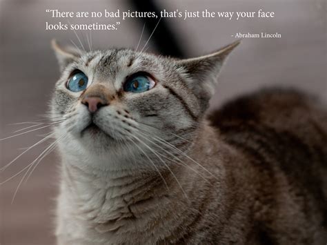 Oct 12, 2016 · 20 inspirational quotes on letting go of your past. 40+ Best Inspirational Photography Quotes... (and 10 Funny ...