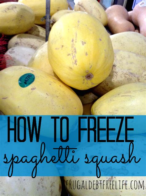 How To Freeze Spaghetti Squash Freezing Spaghetti Squash Spaghetti
