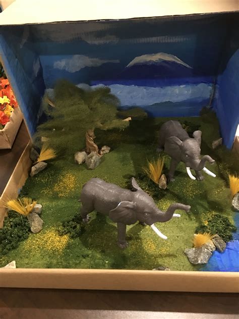 Elephant Habitat Diorama