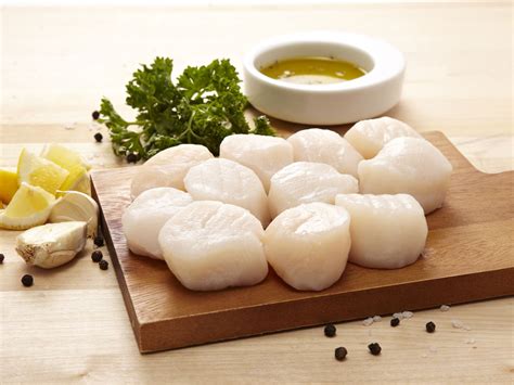 10 20 Dry Packed Fresh Scallops Extra Large Seafood Direct
