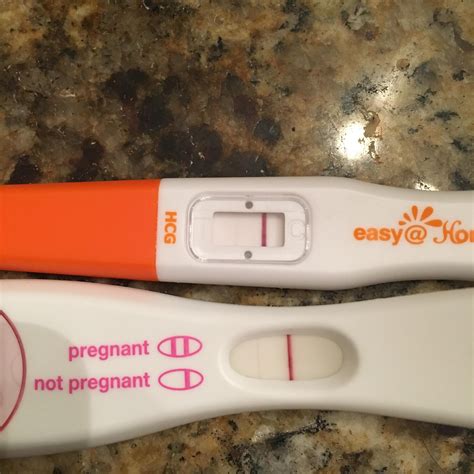 Easy At Home Pregnancy Test Faint Positive All About Home