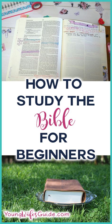 What is the most accurate translation? How to study the Bible for beginners - Hf #86 - Young Wife ...
