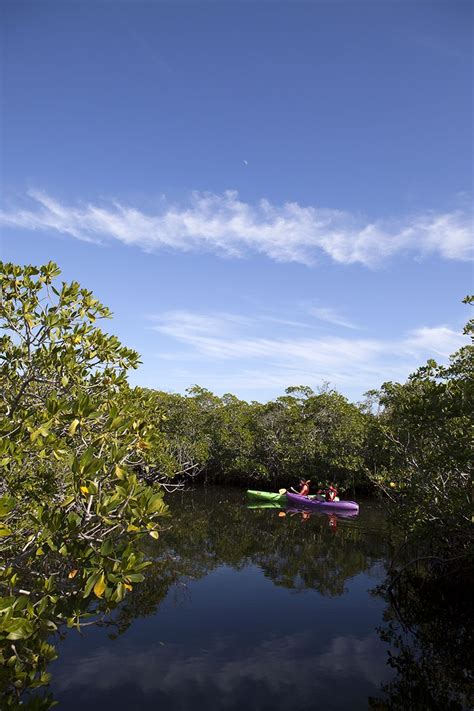 Hurricane irma destroyed my favorite tent campgrounds in the florida keys at long key state park and the sandspur campground at bahia honda state park, dramatically limiting the options for car campers with tents. Kayaking in mangroves in the Florida Keys by Katina ...