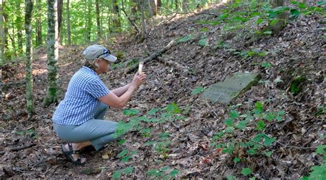 Should Natural Burial Grave Markers Be Subject To Standards — Green