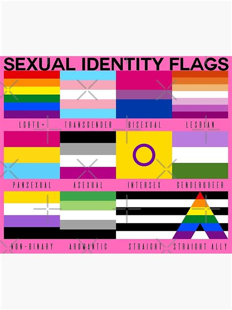 Sexual Identity Pride Flags Lgbtq Pride Month Pink Poster By