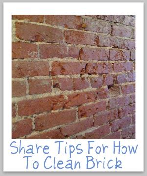 For an arizona backyard, we have a lot of grass and a very large area of brick linear edged border. Tips For How To Clean Brick