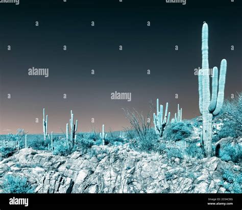 720nm Infrared Light Spectrum Hi Res Stock Photography And Images Alamy