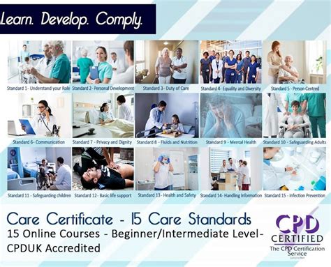 Care Certificate Training 15 Care Standards Cstf Aligned Online Cpd