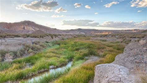 Five Reasons To Protect The California Desert The Pew Charitable Trusts
