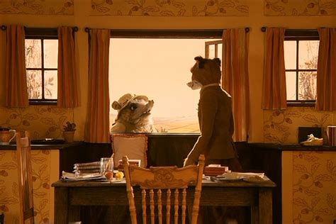 Wes Anderson's Best Onscreen Interiors | Wes anderson, Wes anderson movies, Fantastic mr fox