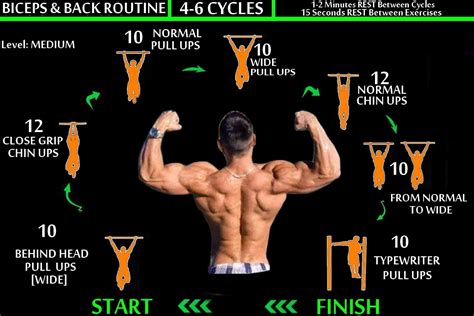 Back Workout Routine Best Abs Abs Workout For Men