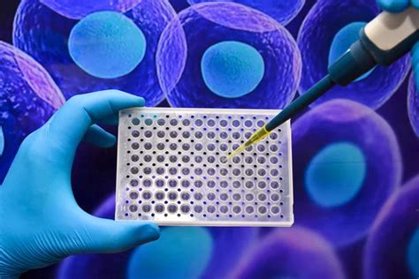 Cell Technologies In Biological Research Stock Image Everypixel