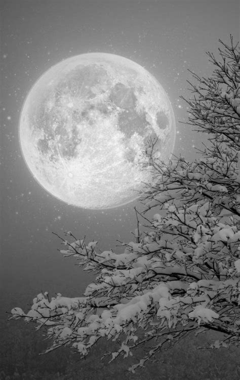Winter Moon The Grief Alchemist