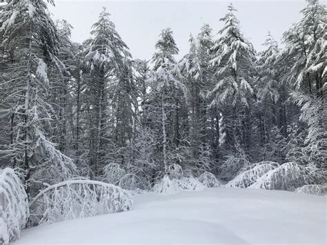 Free Images Winter Wonderland Cold Landscape Frozen